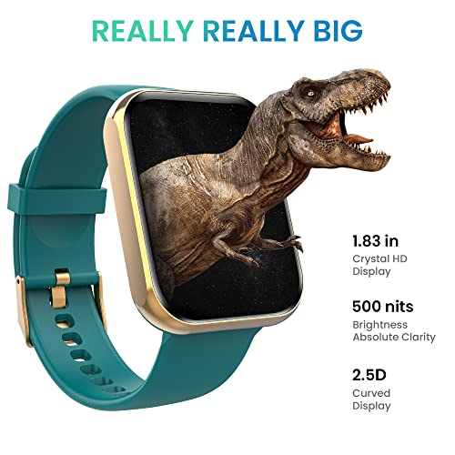 TAGG Verve NEO Smartwatch 1.69" HD Display | 60+ Sports Modes | 10 Days Battery | 150+ Maximum Watch Face Library | Waterproof | 24 * 7 HeartRate & Blood Oxygen Tracking | Games & Calculator | Black